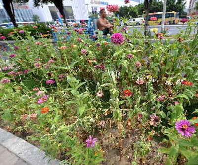 ���ݳ������� ·�߻��ݿݻơ�