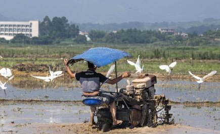 �������������������䡱