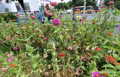 ���ݳ������� ·�߻��ݿݻơ�