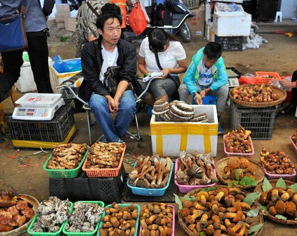 ����Ұ���������ͼ����� �������Ȼ�ͷ�͡�