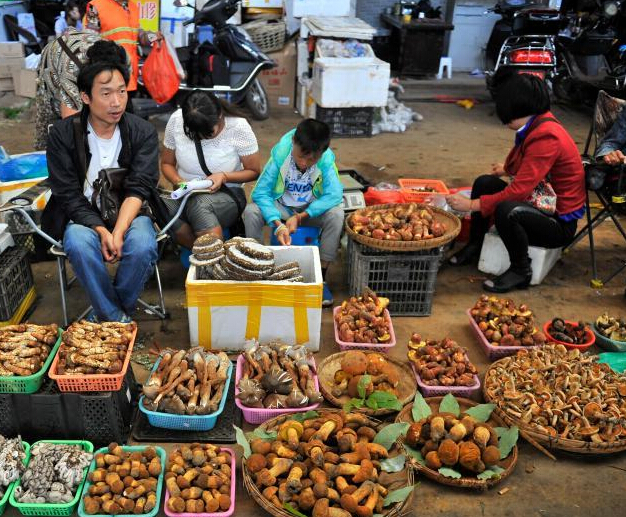 ����Ұ���������ͼ����� �������Ȼ�ͷ�͡�