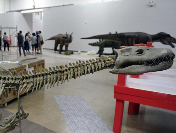 ��󺱼�������������ӱ�����Ժ��