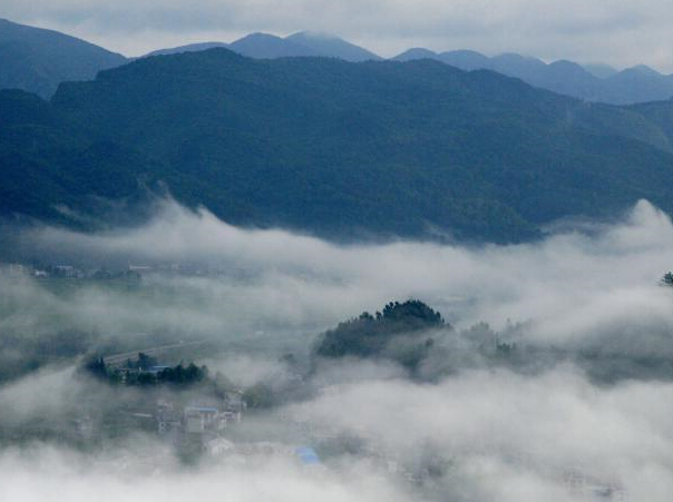 ��������������ƺ�������