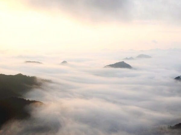 ��������������ƺ����� �������������ɾ���