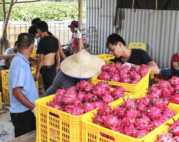 �㶫��ǧ�����������������������