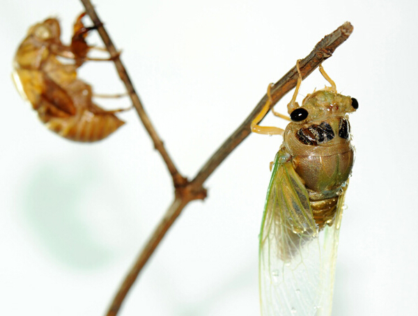 ��Ӱ��������ʱ��Сʱ������ѿ�ȫ���̡�