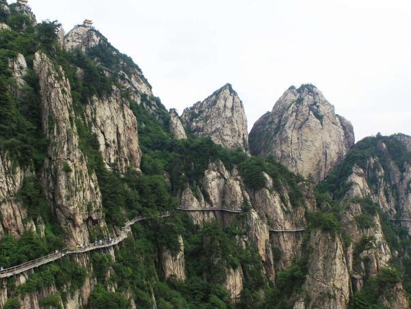 ���и��ţɽ���� ���׾���ջ���䡰�򳦡���