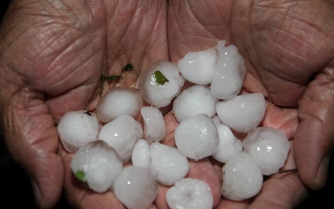 �½����ֵ��������Ϯ����