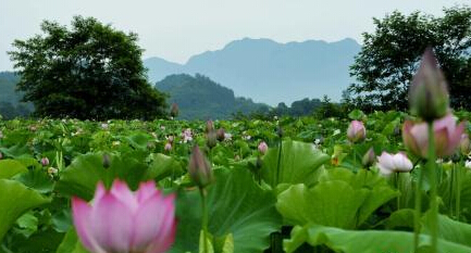 ��������Դ��Ķ�ɻ����޿� Ϊ�����������