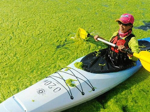 ɽ���ൺ�̦��Ϯ Ƥ��ͧѵ�����ԭ��������