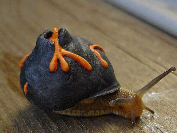 ����������ţ��������Ω��ΩФ��