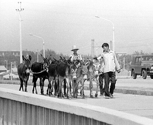 ��Ӣ����Ʒ������·��������