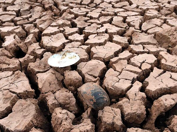 ���ϳ��۸ɺ������� ˮ��ɺ����ع��ѡ�