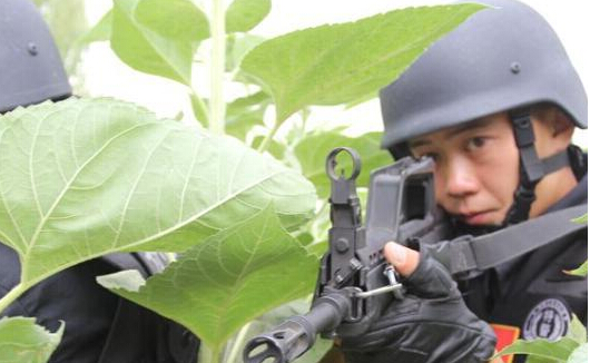 �½����ŵ���ʦ�ؾ����Ĵ������ܡ�