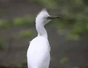 ̨�紵����������� ��ѧ��Ϊ�����񡰳�ɡ����