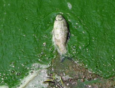 ��������⺣���屬�� ��������Ư��ˮ�桱