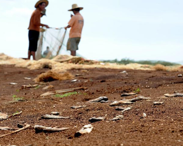 �㶫���ݰ뵺������ʮ��һ�����顱