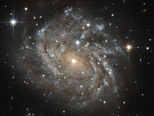 ������׽����������ϵ ���ֱۡ������Գ���ɫ��