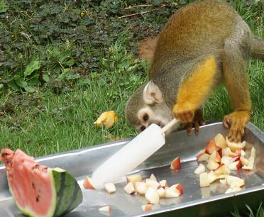 ɽ����̨��������С���������