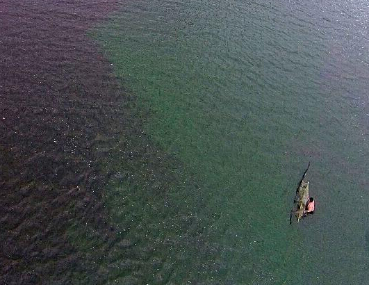 �����Ⱦʮ�ꡡ�������Ӻ��շ��壿��