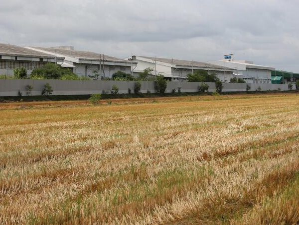 ̩�������� ũҵ�ܳ����