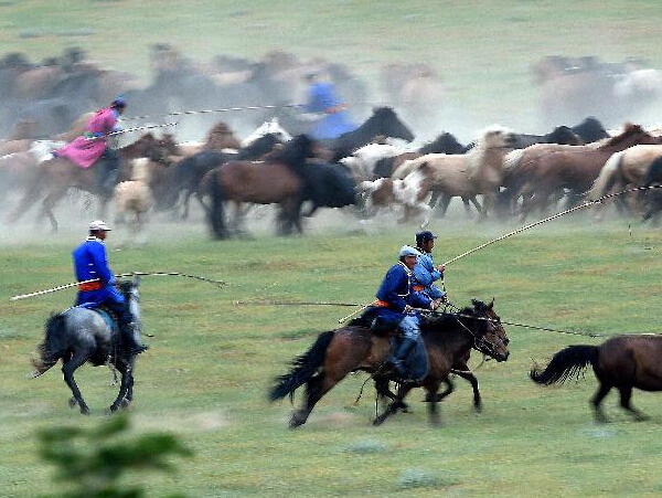 ʢ�Ĳ�ԭ ����������