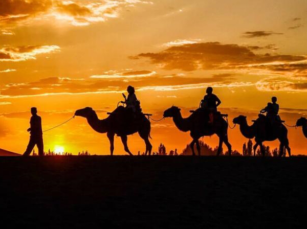 �ػͳ��ֻ����� ��ϼ��Ӱ��ӳ��Ȥ��