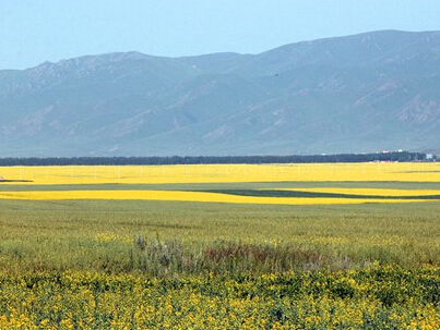 �½�������Ķ�Ͳ˻������ƻ�����