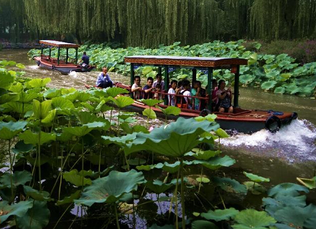 �������ɻ�ʢ����������