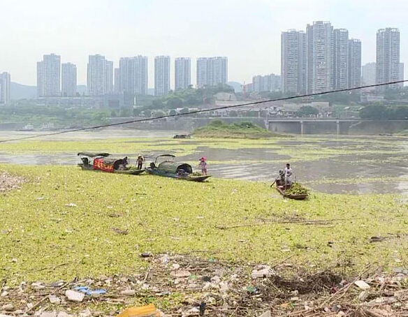 ����������ֽ���ƽ����Ư����������