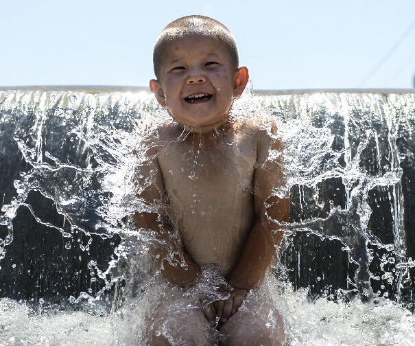 ��³ľ�룺������Ϯ ˮ��������