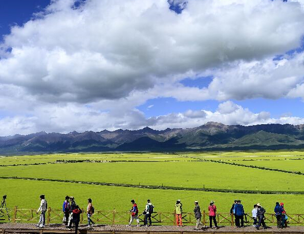 [�����й�]��ɫ���������ˡ�