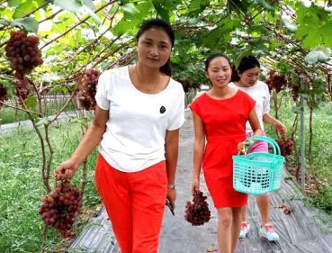 �Ĵ�������԰��ժ�ڿ�Ļ��