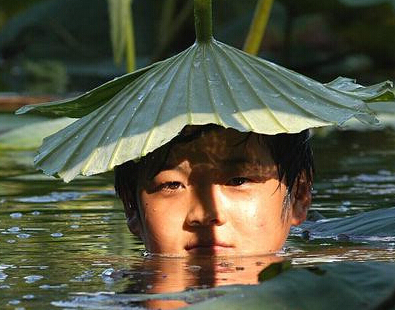 �����������ڱ��������ͨ��