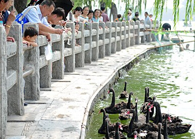 ����조���١����ϴ�������