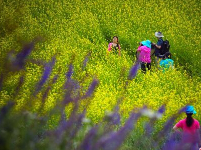 �½���ɽ�����Ͳ˻�ʢ�� ��ˬ�����������ֿ�����