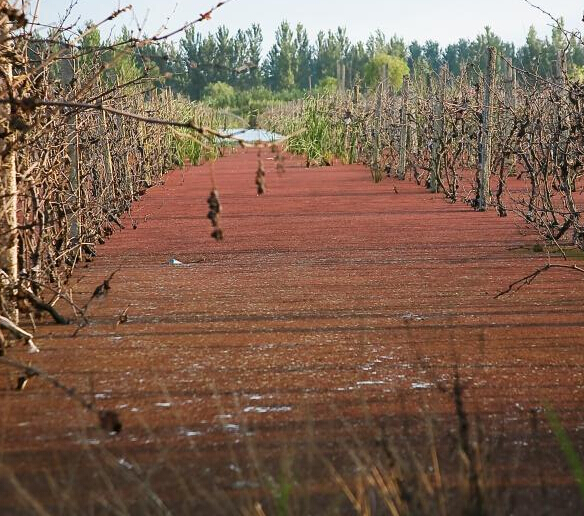 ����һ��úũ�����ݳ���� ˮ�����෺�����ú��ᡱ