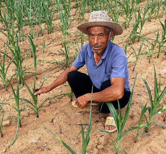 ɽ����غ��������