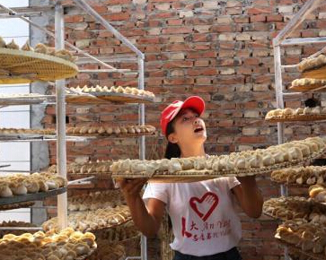 ����һ��ׯ�조���Ͻ����硱����Т����