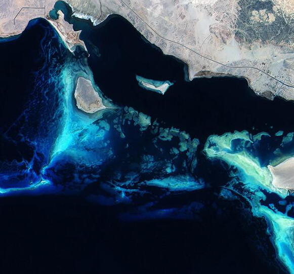 ��������ܷ�ۡ�����������ɺ���� ɫ��Ũ����