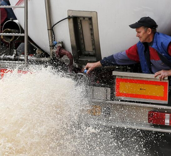 ����ʱũ�����̼�̫�� ��ţ�̽���·��ɰ�ɫ��