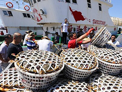 ����Ϻз���� �㽭��ɽ�������ض���ӭ���ա�