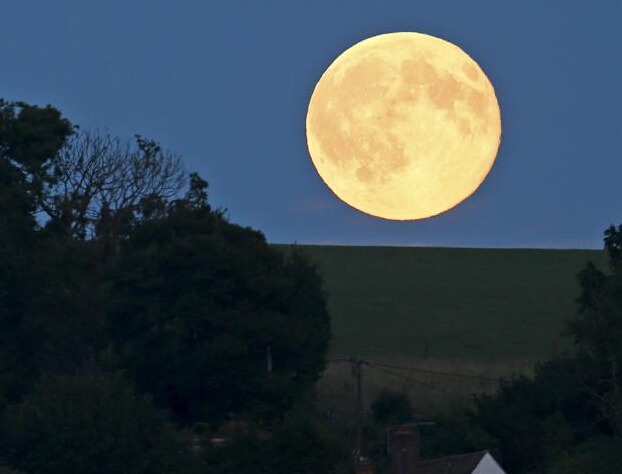 ǧ�ﹲ濾꣺ȫ�����������Ӫ������ɫ�ʡ�