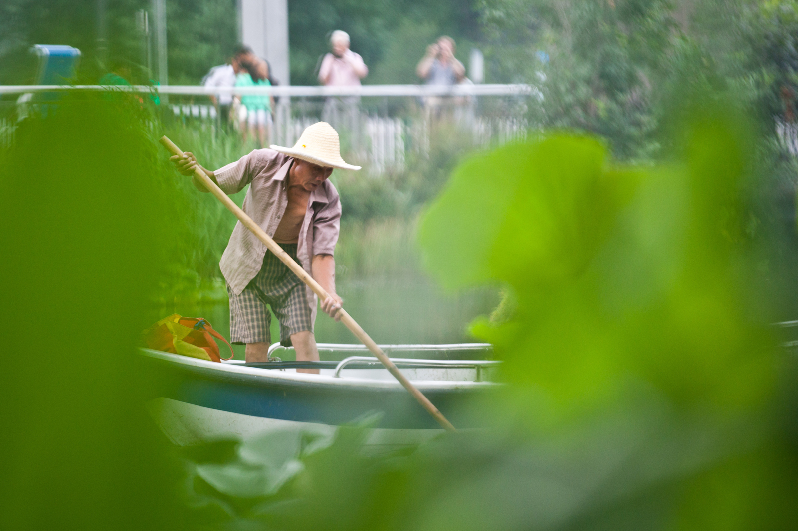 ������ˮϵ����ˮ����������