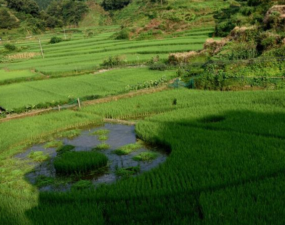 ��������������ũ�������ֳ��������󡱡�