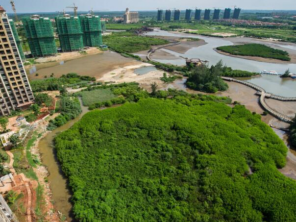 ���ϰ�Ķ���������ƻ���