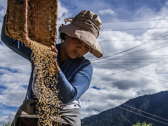 ��Ӣ����Ʒ���� ���