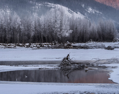 ��Ӣ����Ʒ���� ��⡱