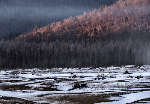 ��Ӣ����Ʒ���� ��⡱