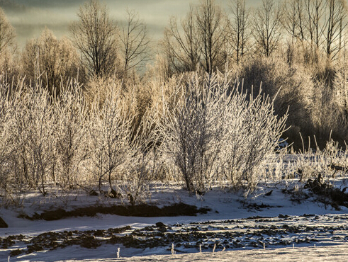 ��Ӣ����Ʒ���� ��⡱